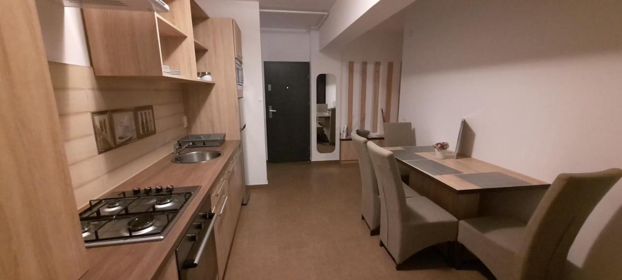 דירות Târgu-Mureş Citadella Apartament מראה חיצוני תמונה